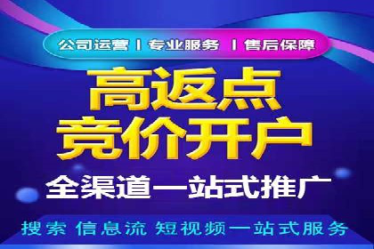 某行业巨头如何利用百度推广服务费提升业绩